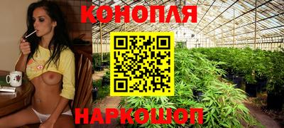 шишки Мариинск