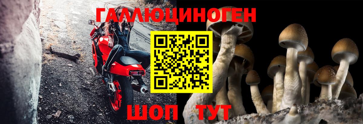 Галлюциногенные грибы мухоморы Вятские Поляны