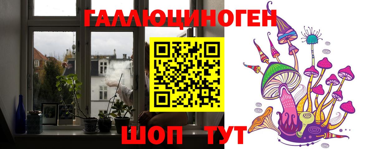 Вятские Поляны  Псилоцибиновые грибы мицелий  Вход с VPN 